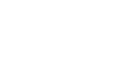 Indev logo